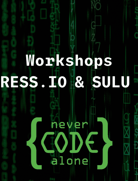 Web Development-Workshops bei Never Code Alone